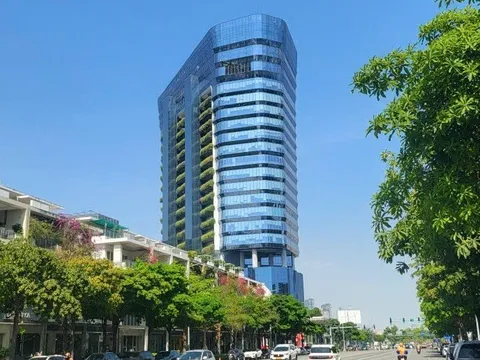 Đại Quang Minh báo lãi tăng gấp 20 lần, ghi nhận lợi nhuận hơn 4.000 tỷ đồng trong năm 2025