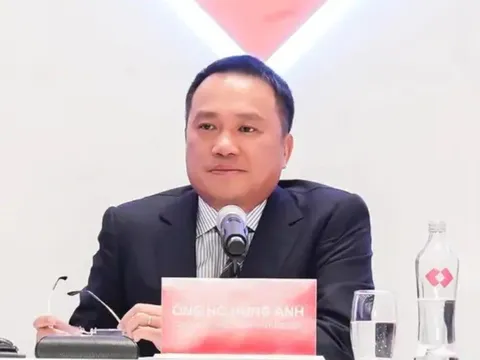 Con dâu của Chủ tịch Techcombank Hồ Hùng Anh làm Chủ tịch Hãng Hàng không Hải Âu