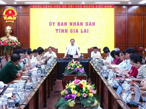 Gia Lai tập trung thực hiện mục tiêu tăng trưởng GRDP từ 10,2% trở lên