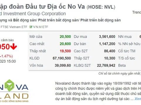 Bán chui hơn 603 ngàn cp NVL thu về 11 tỷ đồng, ông Huỳnh Minh Lâm, Kế toán trưởng Novaland bị phạt 100 triệu đồng