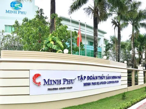 Tập đoàn Thủy sản Minh Phú (MPC) sắp chi hơn 164 tỷ đồng để trả cổ tức bằng tiền