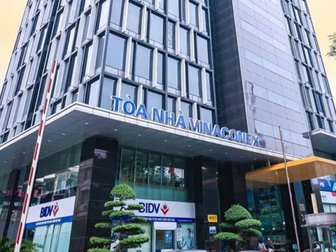 Năm 2023, Vinaconex (VCG) đạt lợi nhuận trước thuế 555 tỷ đồng, vốn chủ sở hữu tăng nhẹ đạt 10.241 tỷ đồng