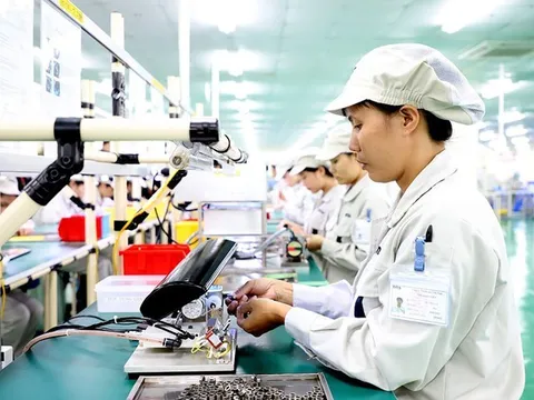 Hơn 50% doanh nghiệp Nhật Bản kỳ vọng cải thiện lợi nhuận kinh doanh