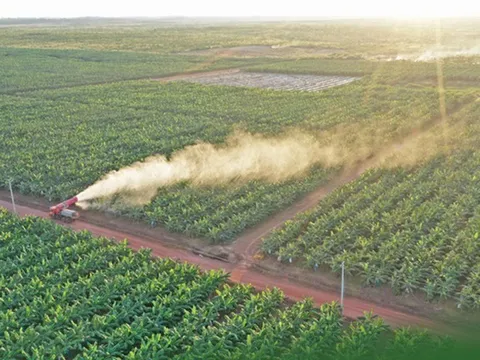 Thaco Agri nợ đìa, ghi nhận mức 42.512 tỷ đồng tăng 40% sau một năm