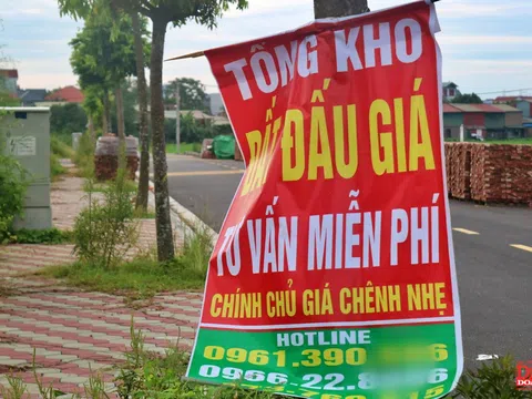 Tái diễn tình trạng bỏ cọc đấu giá đất ngoại thành Hà Nội: Cần tăng chế tài xử phạt