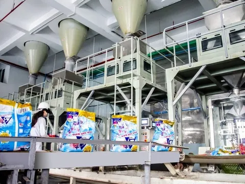 Nghịch lý DGC: Kinh doanh tăng trưởng, cổ phiếu vẫn rơi