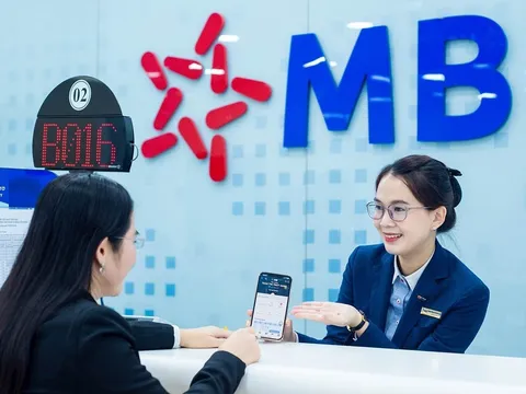 Chứng quyền riêng lẻ thu hút dòng tiền, vì sao?