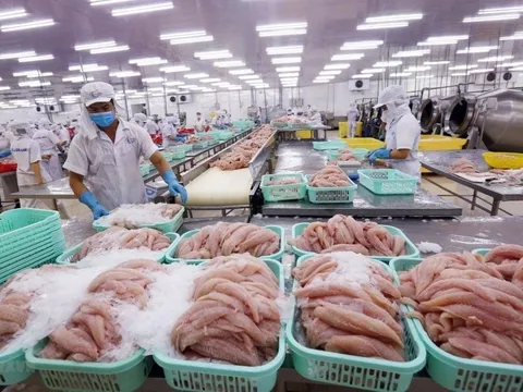 Thủy sản Việt Nam chịu tác động ra sao nếu Hoa Kỳ áp thuế bổ sung 12,5%?