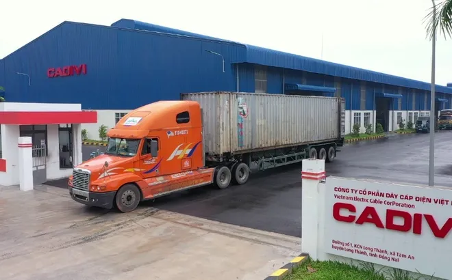 Dây cáp điện Việt Nam (CADIVI: CAV), công ty con của Tập đoàn Gelex chi 805 tỷ đồng chia cổ tức bằng tiền với tỷ lệ 140% tăng gần gấp 3 lần so với kế hoạch