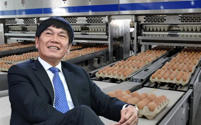 Dù lợi nhuận tăng mạnh nhưng Tập đoàn Hòa Phát của tỷ phú Trần Đình Long bất ngờ giảm vốn ở mảng nông nghiệp