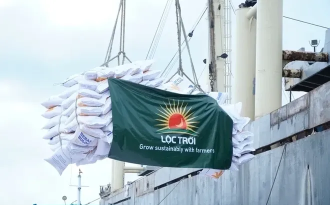 Ủy ban Chứng khoán Nhà nước phạt Tập đoàn Lộc Trời (LTG) vì chậm công bố thông tin