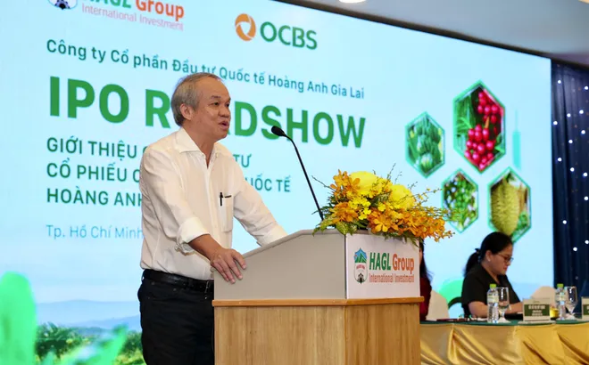 Đầu tư Quốc tế Hoàng Anh Gia Lai (HGI) của chủ tịch Đoàn Nguyên Đức bị xử phạt trước thềm IPO