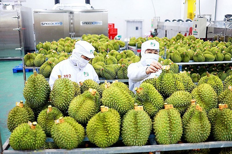 Xuất khẩu rau quả của Việt Nam trong quý I lập đỉnh lịch sử đạt 1,3 tỷ USD